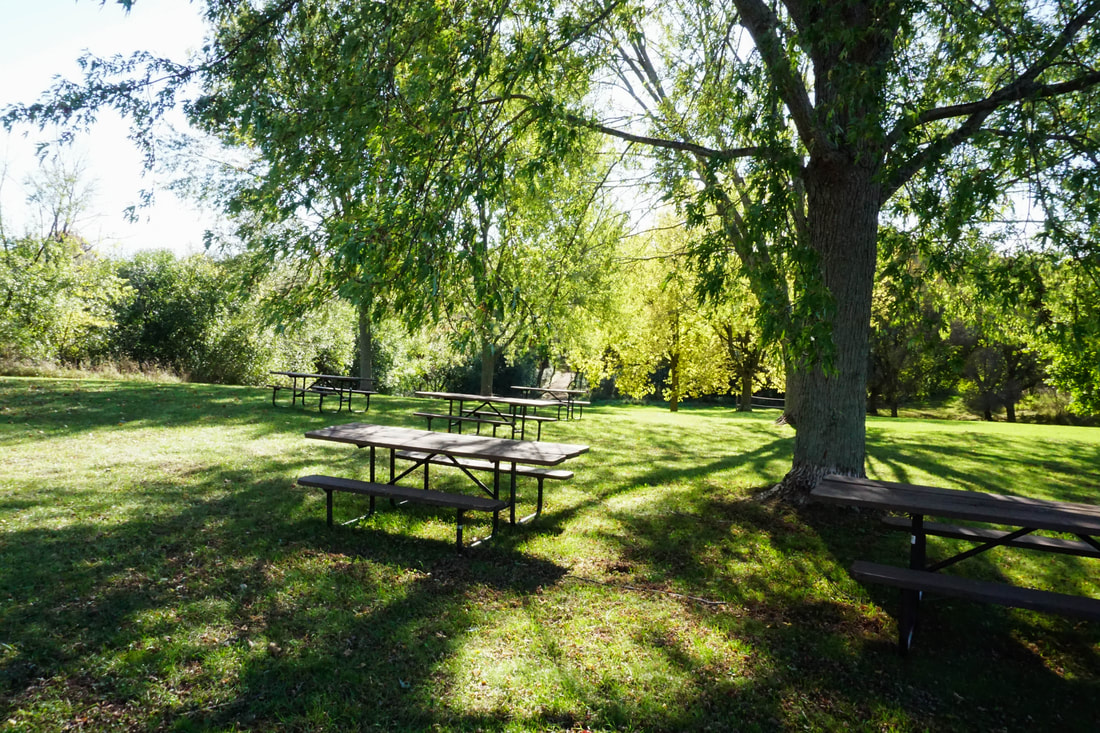 picnic tables next to tree